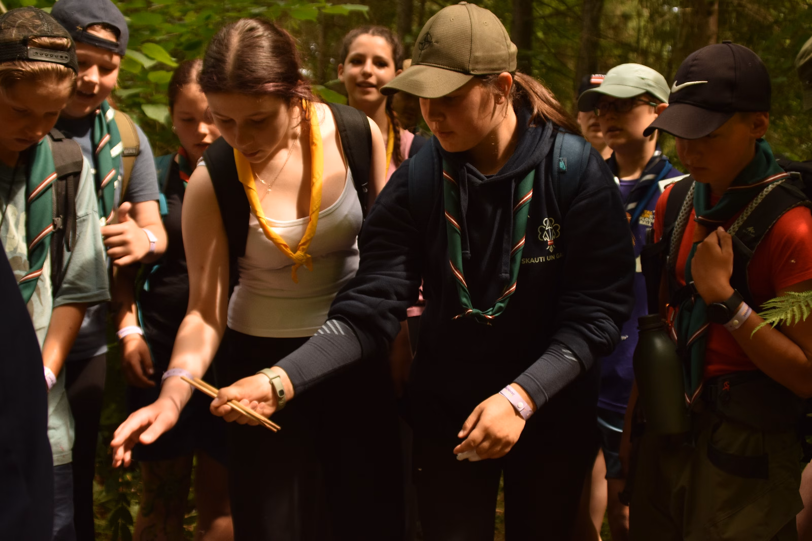 Baltic Jamboree 2026: “Baltic Forest Festival”